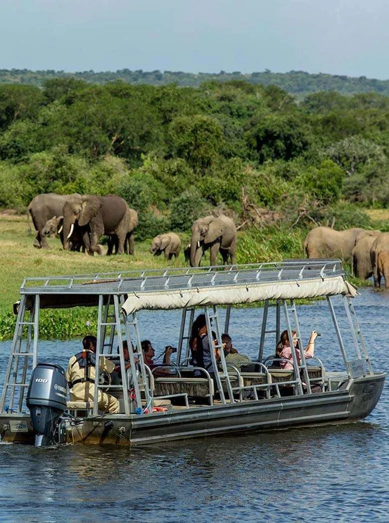 Uganda Ultimate Safari