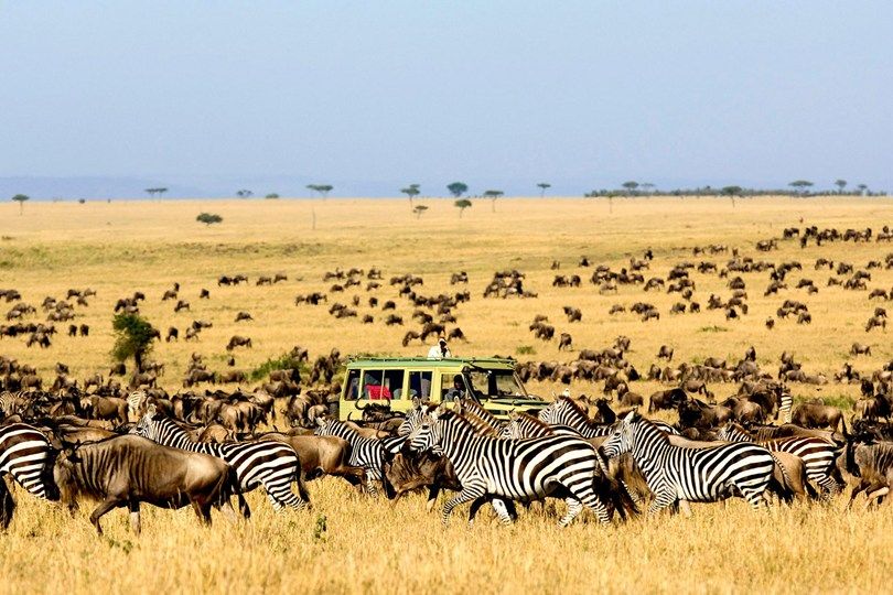 Serengeti safari Tanzania