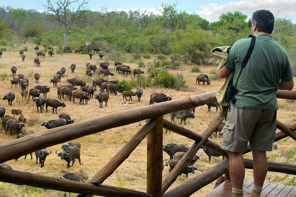 Kruger National Park South Africa