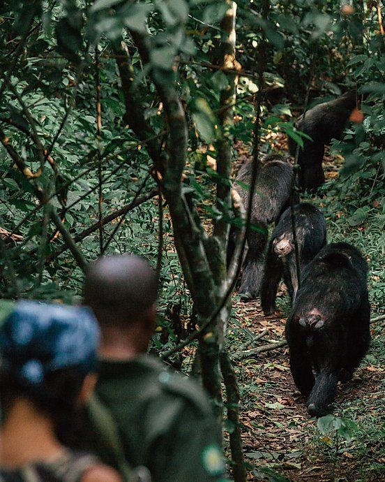 Sustainable tourism