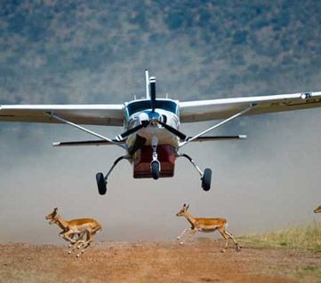 Private air charters